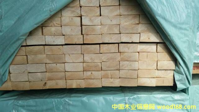 ��ɼ��ĵ�Ԕ����B