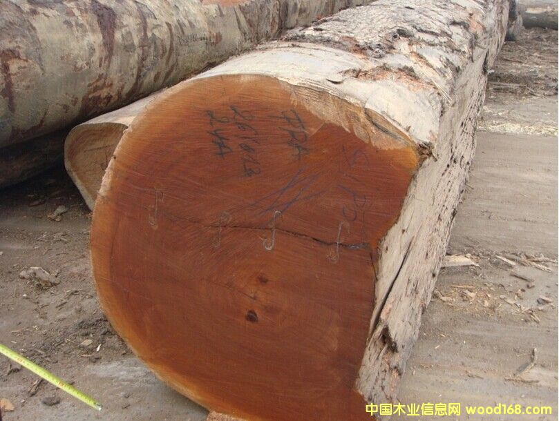 ���ֵ�Ԕ����B