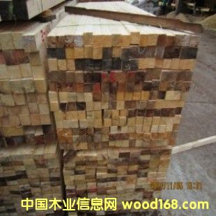 �c(di��n)���鿴�������l(f��)�Fɼ�o(w��)��(ji��)�İ�ļҾ߲��ϷŴ�DƬ