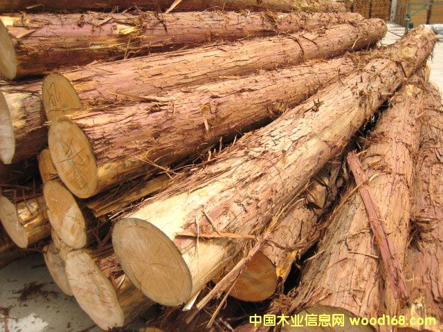 �ձ��uľ��Ԕ����B