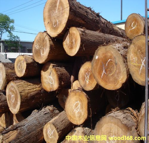 �ձ�ɼľ��ɼ��Ԕ����B