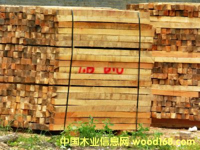 方木的詳細介紹