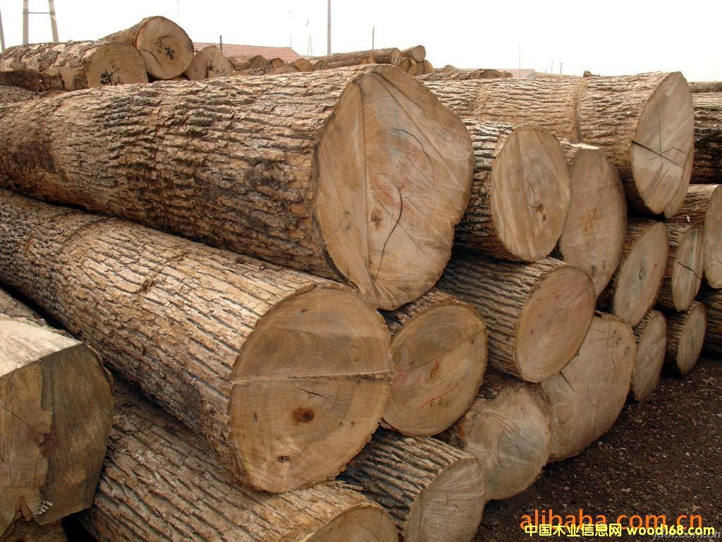 �c���鿴���޵��S�����ǌ���ϡ����N�����M�چ���ô�M�ڷŴ�DƬ