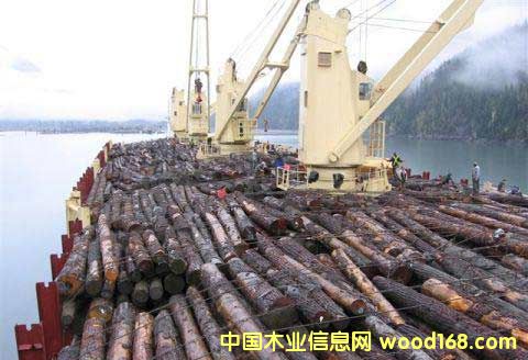 �c(di��n)���鿴�Ϻ������(gu��)�H�M(j��n)���ڴ�������(w��)��˾�������P(gu��n)ͨ�P(gu��n)�I(y��)��(w��)��Ԕ��(x��)�Y��