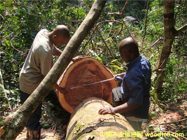 �c���鿴����M���Ϸǵ�̴ľ��Ҫ��Щ���C�����M�ڷŴ�DƬ