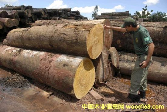 �c(di��n)���鿴�M(j��n)�ڼҾߵ���Ҫע������(xi��ng)�Ϻ��C(j��)��(ch��ng)��(b��o)�P(gu��n)�е�Ԕ��(x��)�Y��