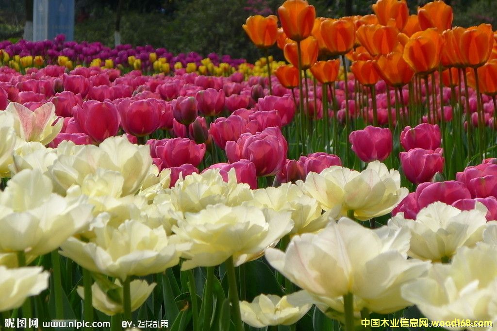 �c(di��n)���鿴��Щ����ֲ������Ҫ�M(j��n)�ڵ��Ϻ��C(j��)��(ch��ng)��(b��o)�P(gu��n)�е�Ԕ��(x��)�Y��