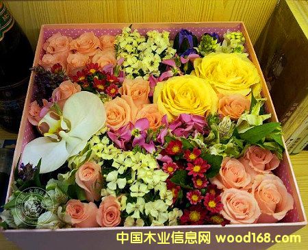 �c(di��n)���鿴�M(j��n)�ں��m���߲�õ����Ҫ��Щ���C�����Ϻ��C(j��)��(ch��ng)��(b��o)�P(gu��n)�е�Ԕ��(x��)�Y��