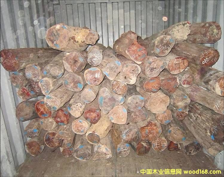 �c���鿴��ô�k��ϡ��ľ���M���C����Ҫ�ķN�Y�ϷŴ�DƬ