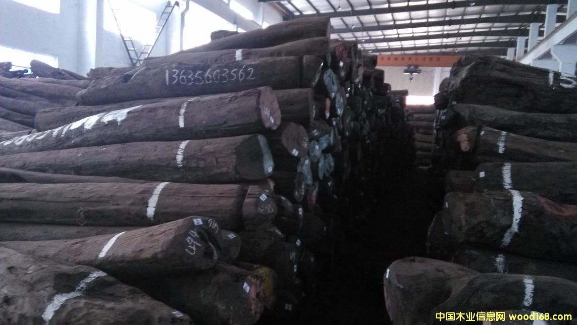 大葉紫檀的詳細介紹