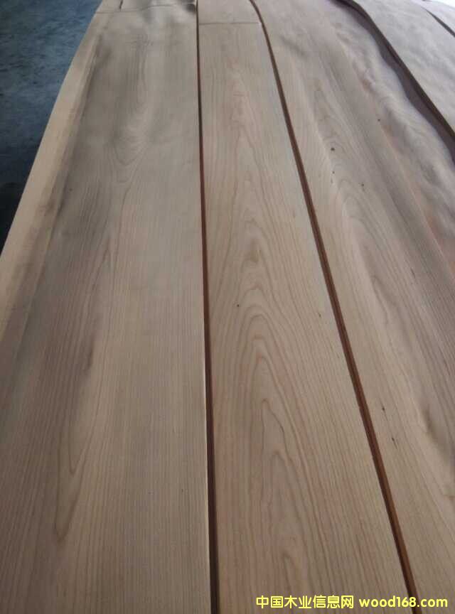 ����ɽ�y��Ԕ����B