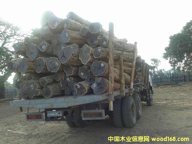 �Ϲ�̴���|�Ǻ��S̴����ľ��Ԕ����B