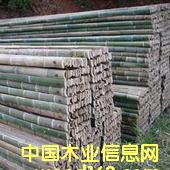 ��������A���Ԕ����B