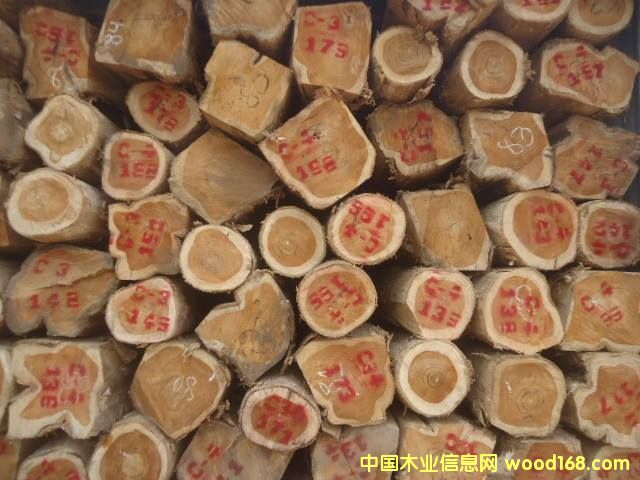 ������ľ��Ԕ����B