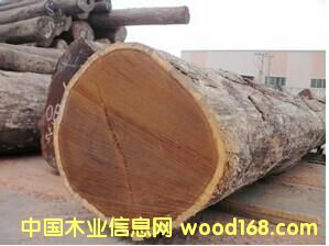 ������̴����~�S̴��ԭľ