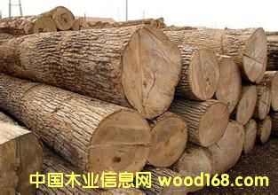 �����tľ��������̴ľ��ԭľ