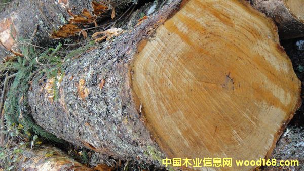 ��ľԭľ��Ԕ����B