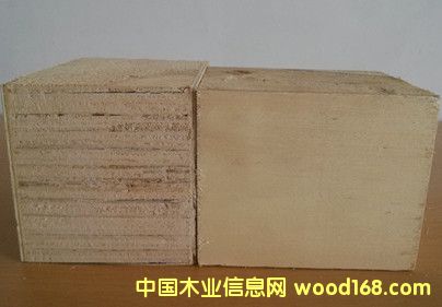 ����ľ�бP���z�ϵ��z�ϰ����Ӱ��_�Չ|�K�ǶՉ|�_�ȵ�Ԕ����B