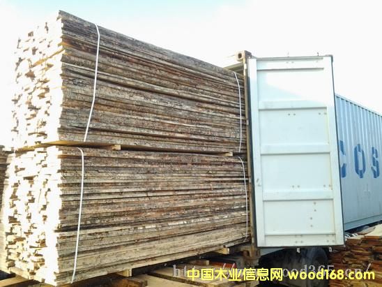 �c���鿴��ľ��ķŴ�DƬ