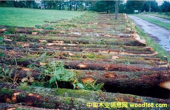 �t���Ԕ��(x��)��B