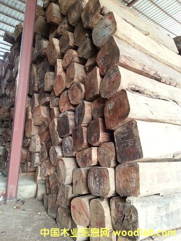 �B����̴��Ԕ����B