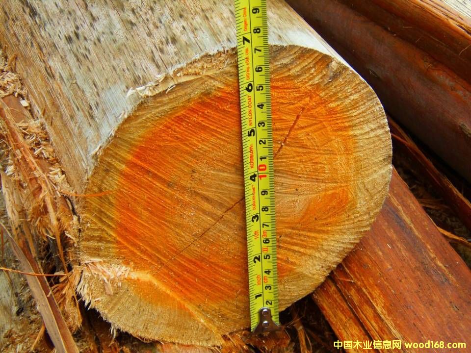 �������ԭľ