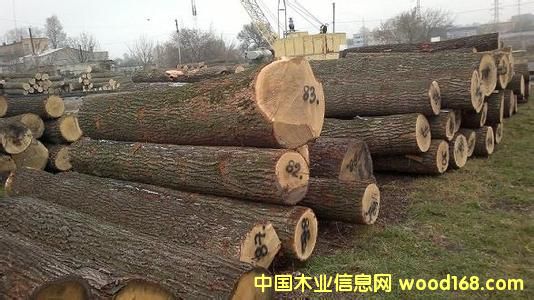 �ǄPԴľ�I�̓r����ˮ����ԭľ�����_˹��