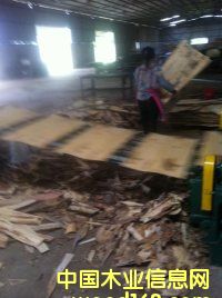 ��ľ�ΰ��Ԕ����B