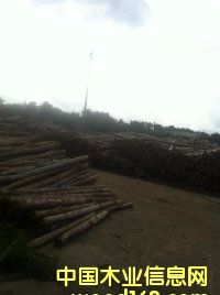 ��ľ��Ƭ��Ԕ����B