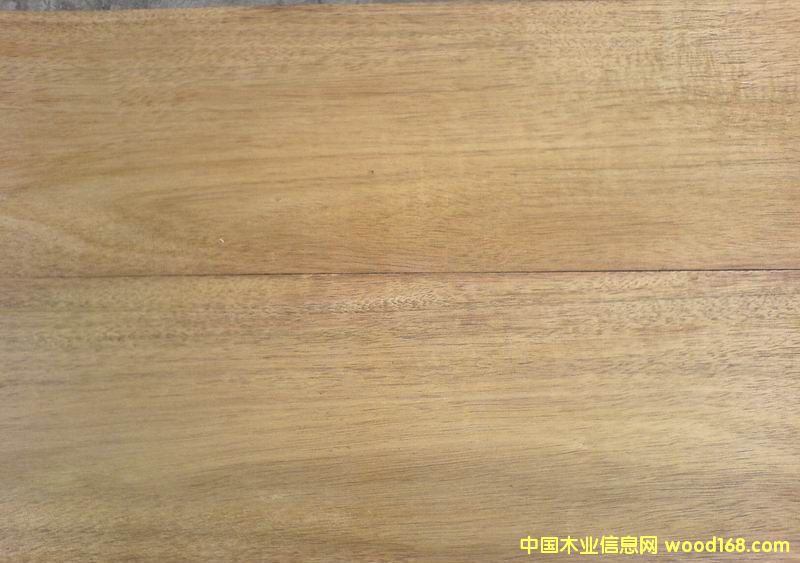 卡斯拉的詳細介紹