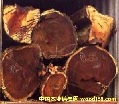 �|�ρ��ڸ�ԭľ��Ԕ����B