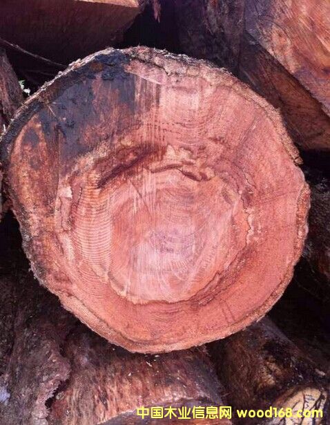 �|�ρ��R����ԭľ