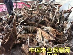 �°�ë�����l��Ԕ����B