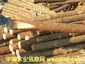 �o�̘����@��֧�ΗU��Ԕ����B