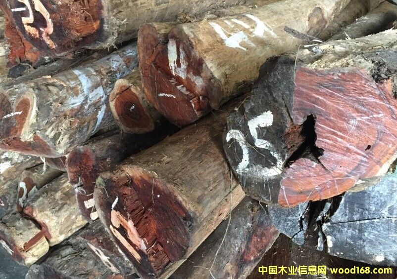 ���~�S�����Ԕ����B