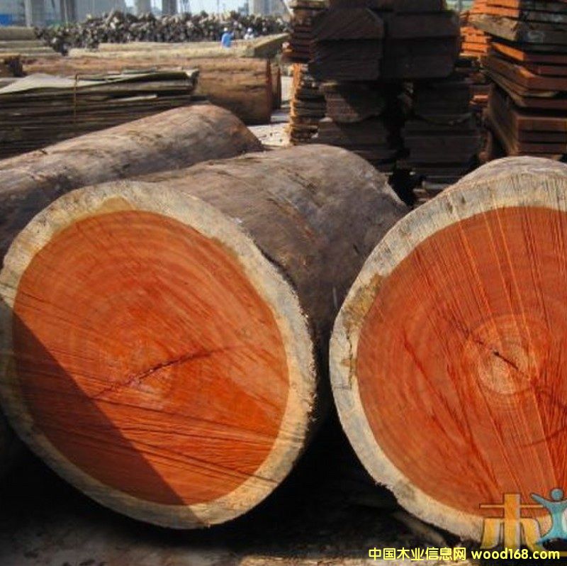 �t���棬��Ԕ����B