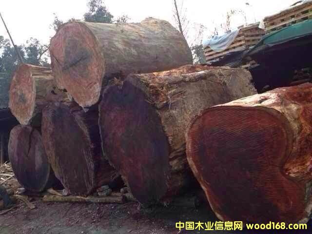 �����ľ��Ԕ����B