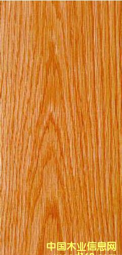 �t��ľ��Ԕ��(x��)��B