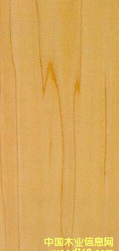 �S��ľ��Ԕ��(x��)��B