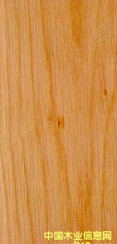 ����ľ��Ԕ��(x��)��B