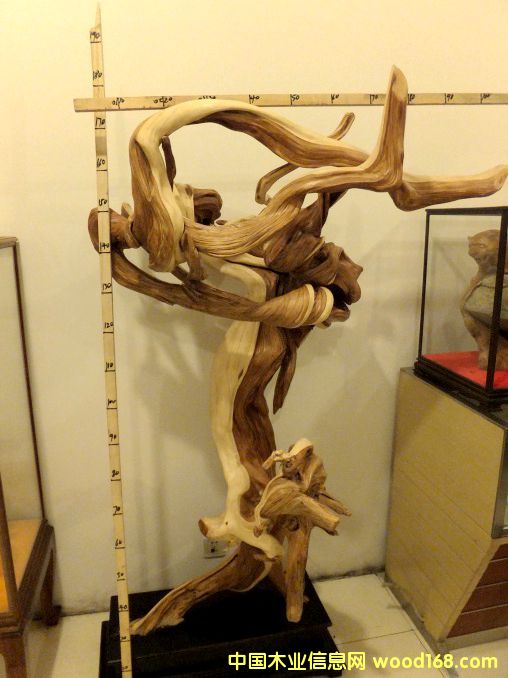 1的詳細(xì)介紹