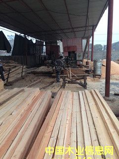 ������ľ�����l