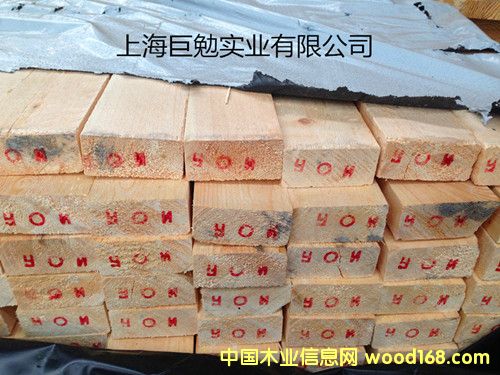 ������ľ��