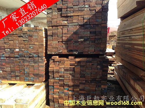 �����Fɼľ��