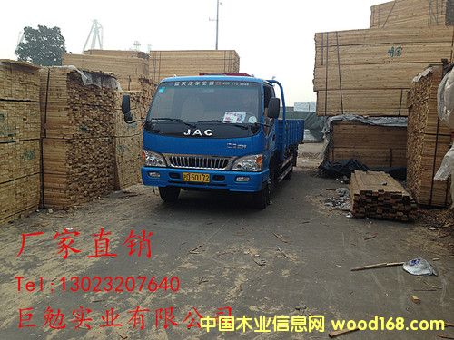 ���_˹���~��ľ�����l