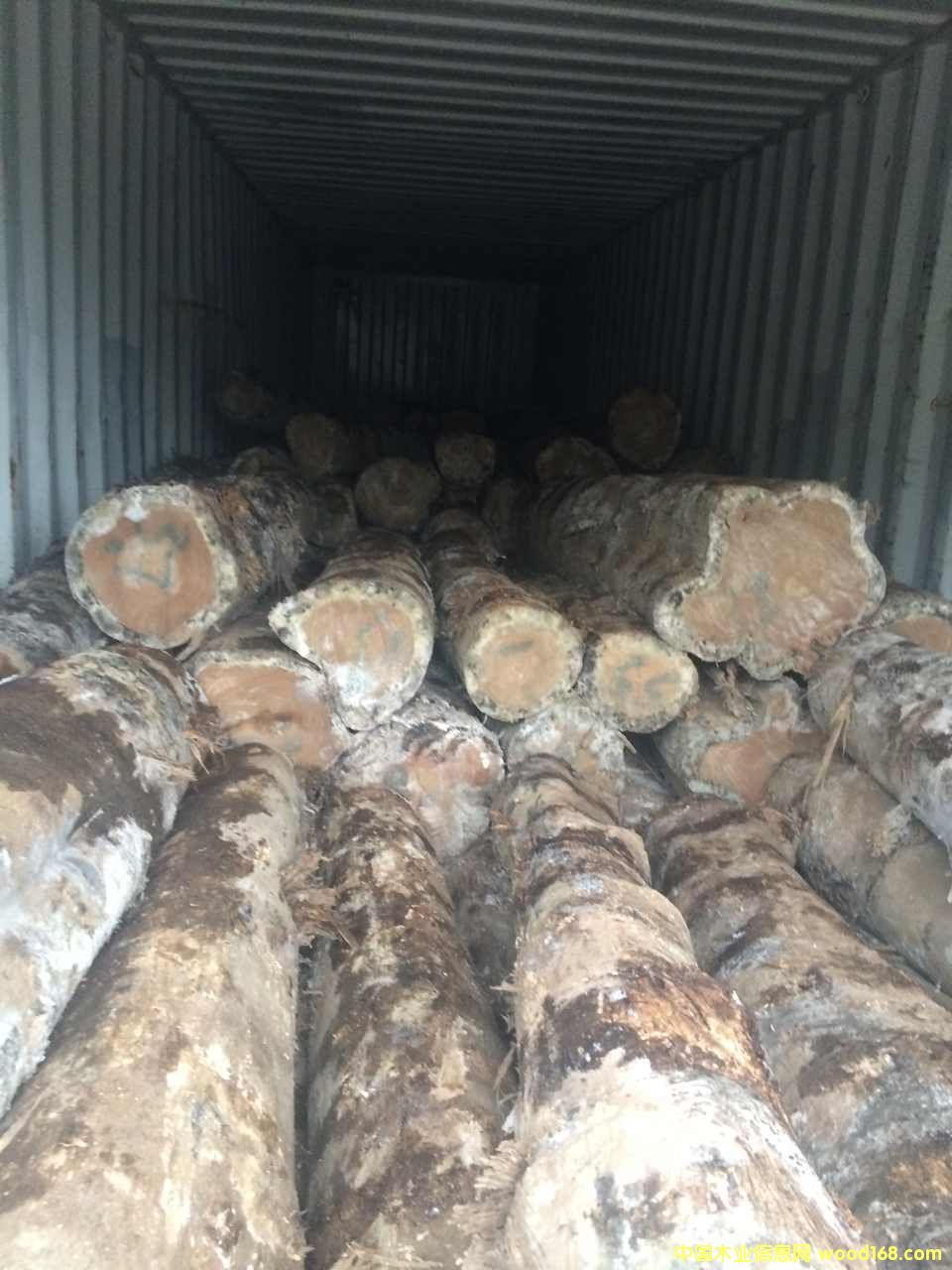 FSC 100%��˹�_�����ľ