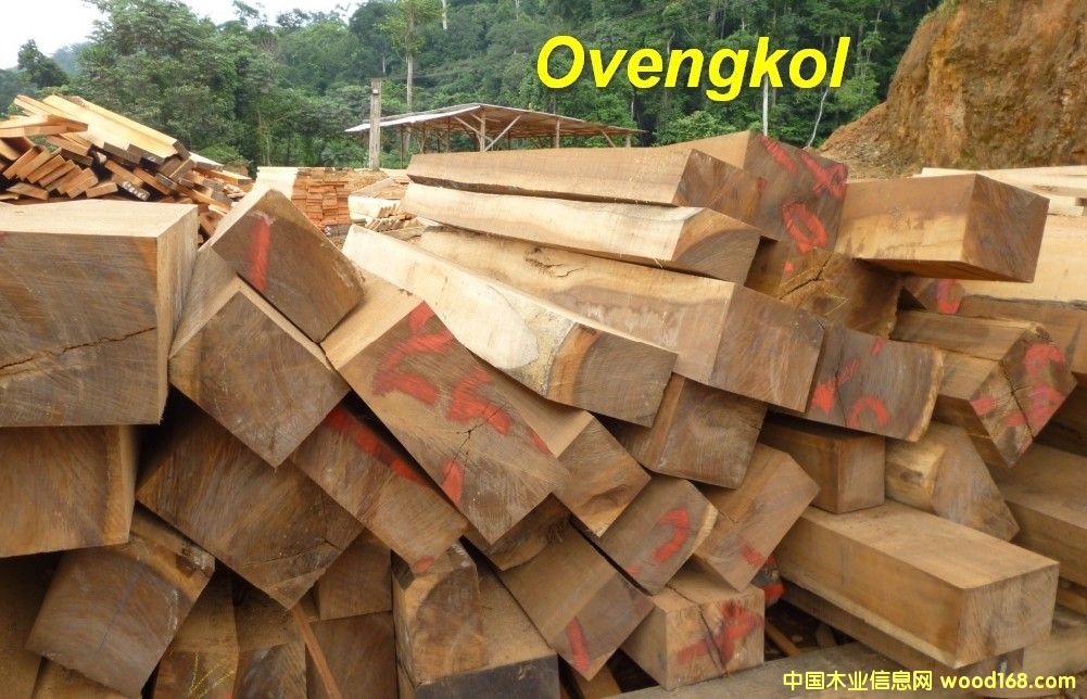 ovengkel ��̴