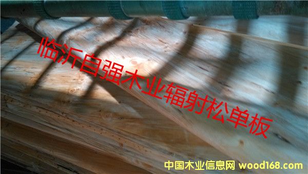 ݗ�������60�z