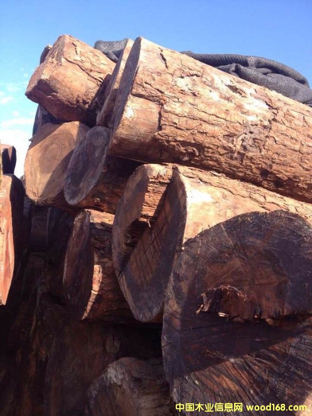 ��������̴