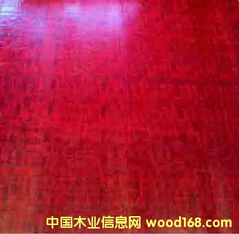 �����N���] �S�ҹ�؛����Ʒ���z�壨�����p�����a��